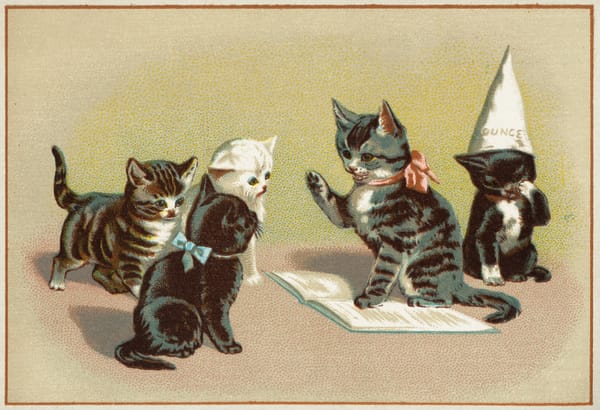 A kitten in a pink bow is teaching three other kittens from a book. Behind him, a fourth kitten in a dunce cap is crying. 